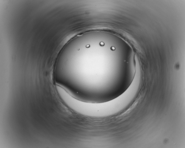 X0000103311177200809191911