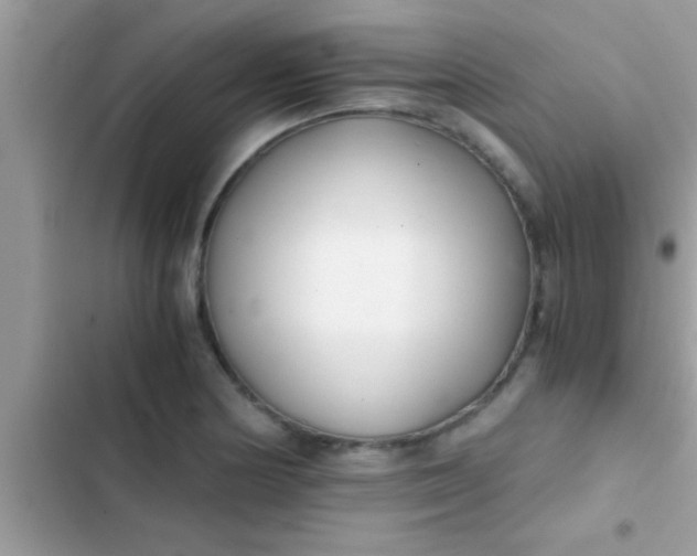 X0000103311178200809191911