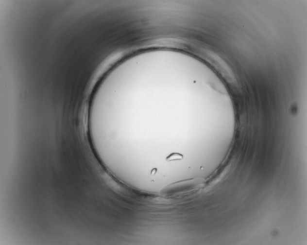 X0000103311180200809191911