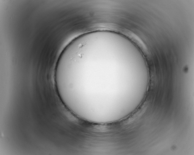 X0000103311182200809191911
