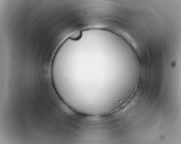 X0000103311186200809191911