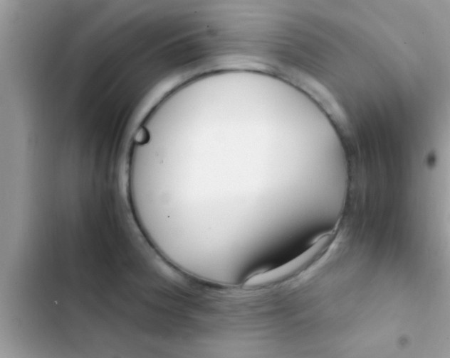 X0000103311188200809191911
