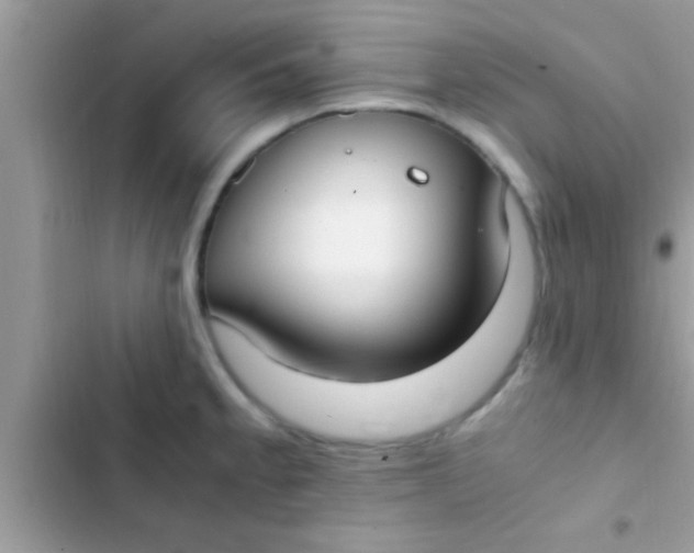 X0000103311189200809191911