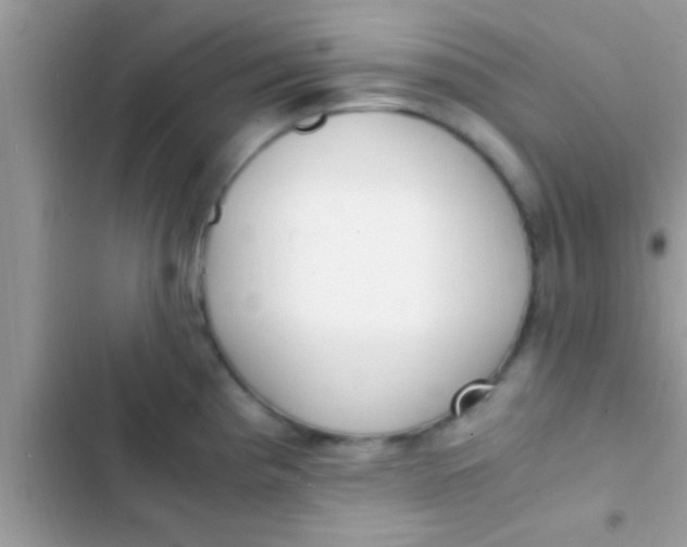 X0000103311193200809191911