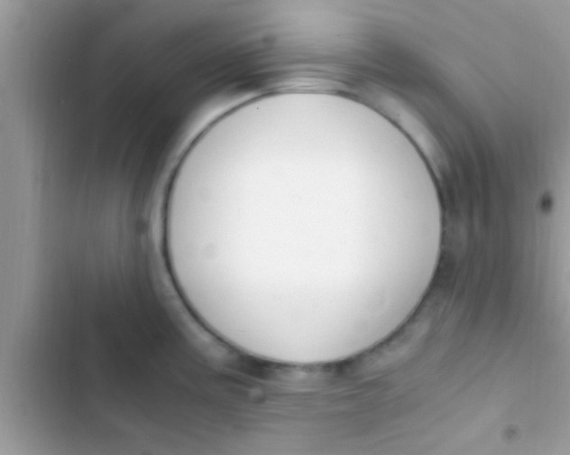 X0000103311195200809191911