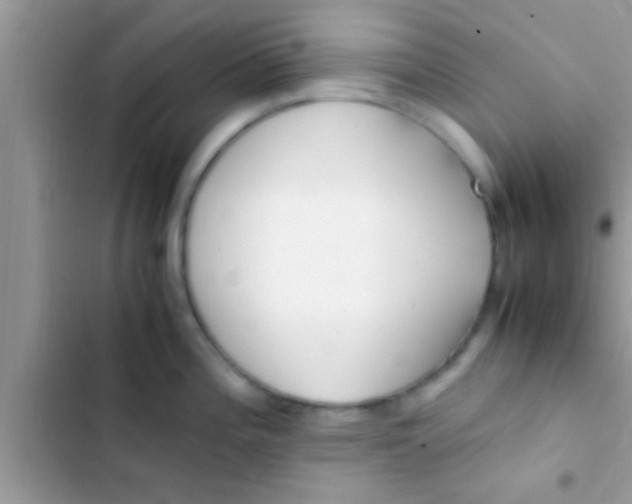 X0000103311196200809191911