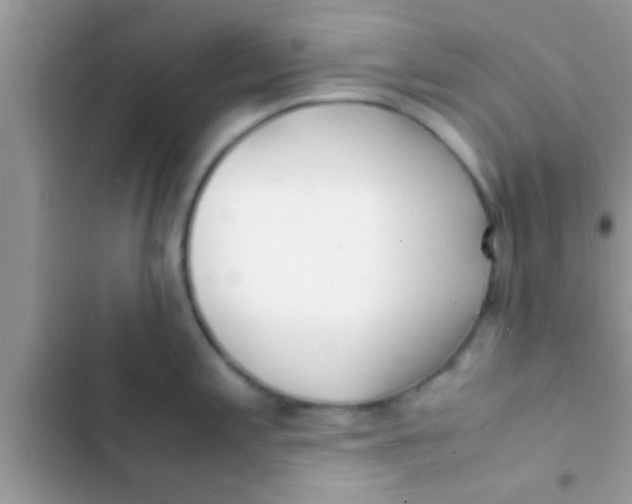 X0000103311197200809191911