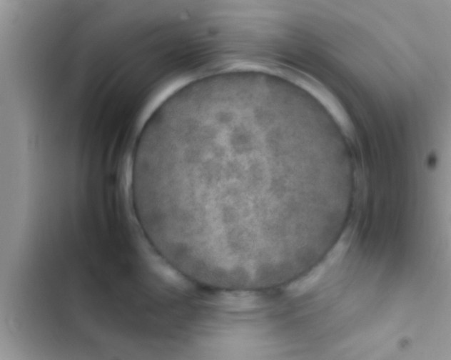 X0000103311198200809191911