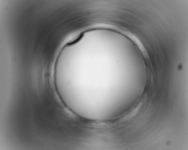 X0000103311199200809191911