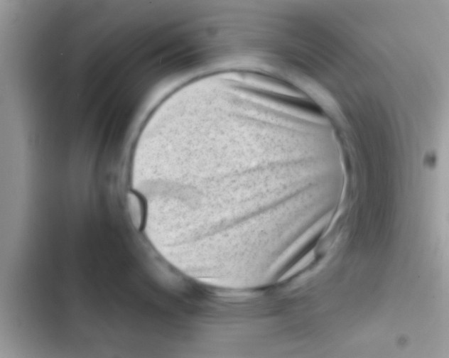 X0000103311200200809191911