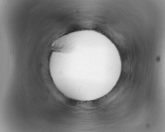 X0000103311201200809191910