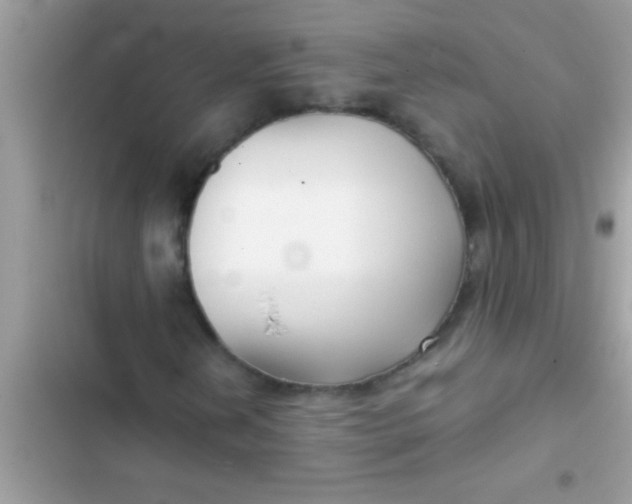 X0000103311202200809191910