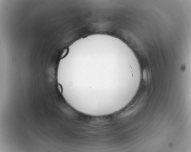 X0000103311203200809191910