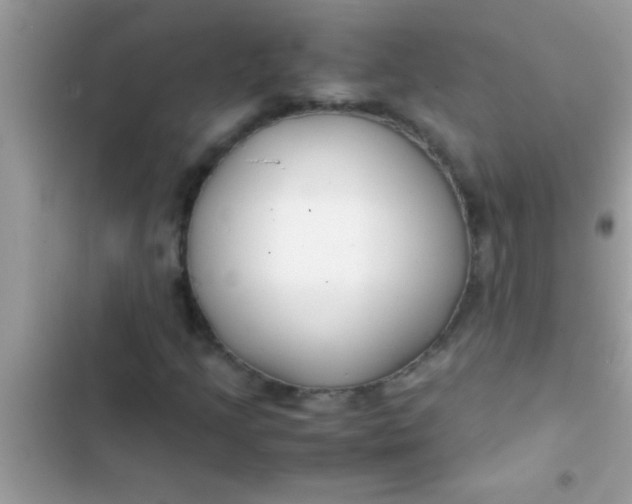 X0000103311205200809191910