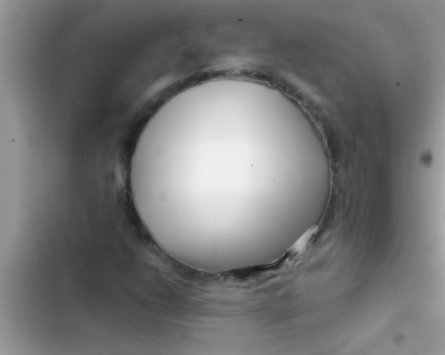 X0000103311206200809191910