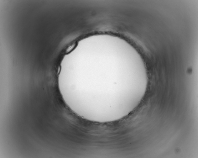 X0000103311207200809191910