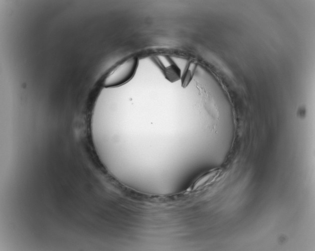 X0000103311208200809191910