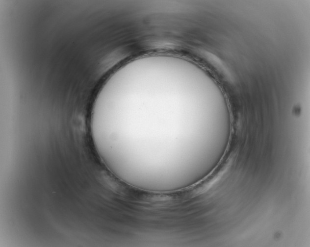 X0000103311209200809191910