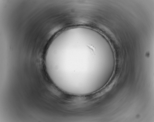 X0000103311210200809191910
