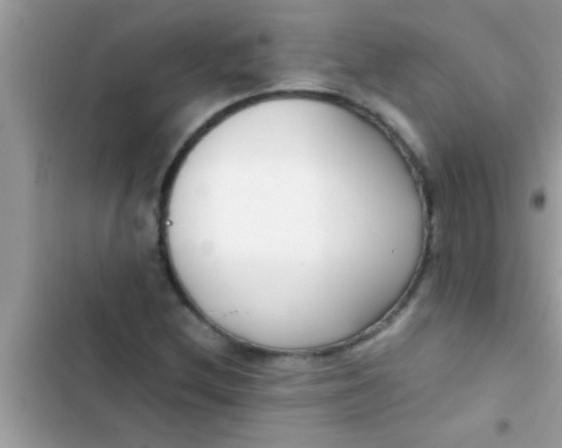 X0000103311212200809191910