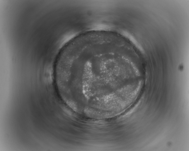 X0000103311213200809191910