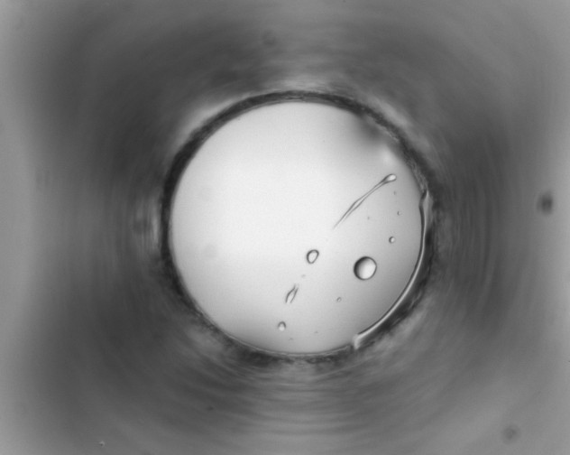 X0000103311214200809191910