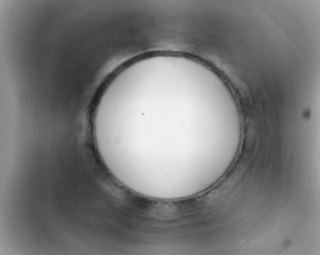 X0000103311215200809191910
