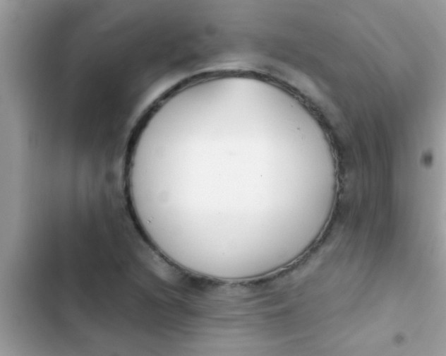 X0000103311216200809191910