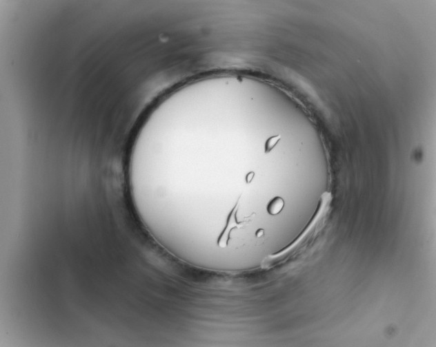 X0000103311218200809191910