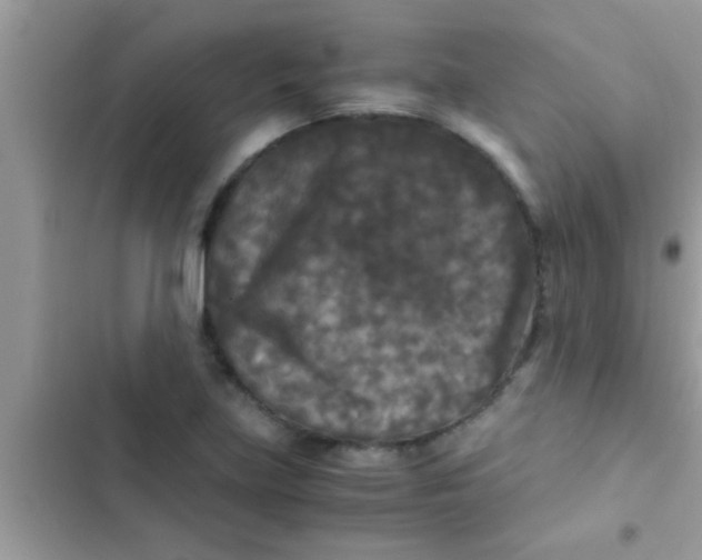 X0000103311219200809191910