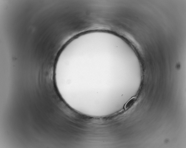 X0000103311220200809191910