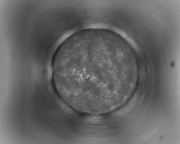 X0000103311221200809191910