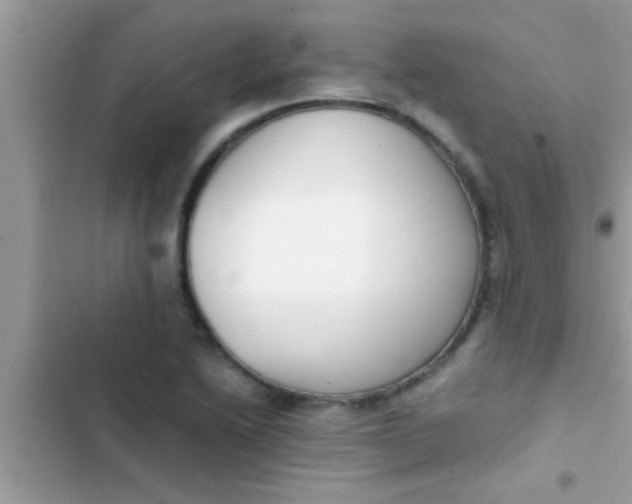 X0000103311222200809191910