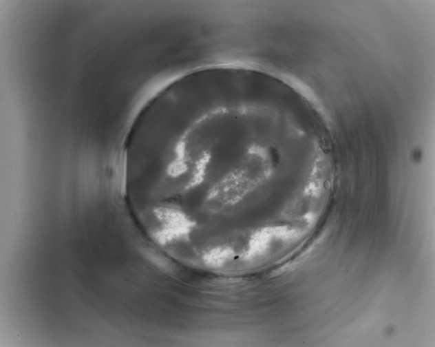 X0000103311223200809191910