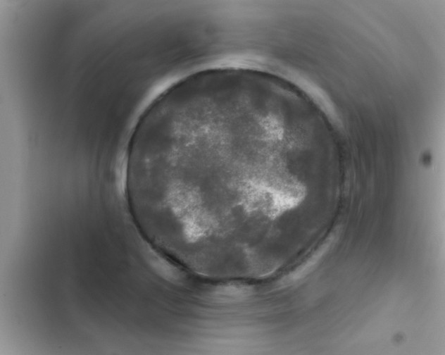 X0000103311224200809191910
