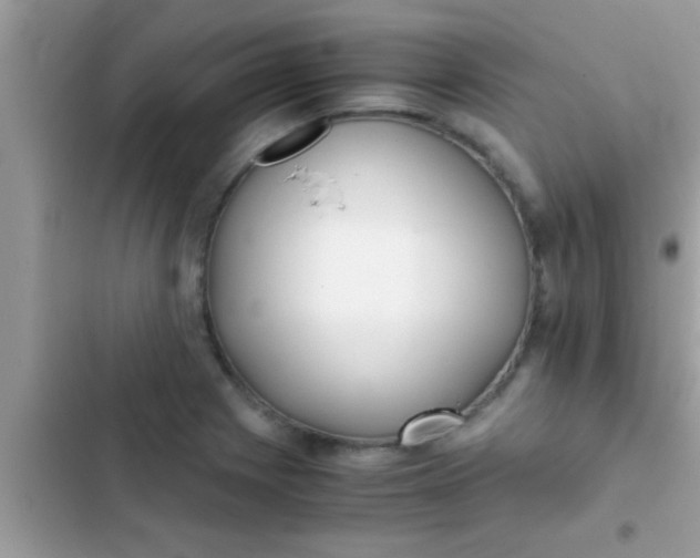 X0000103311225200809191910