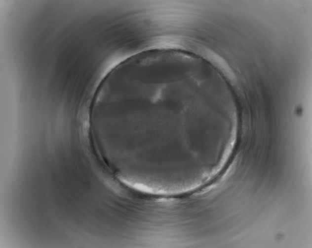 X0000103311226200809191910