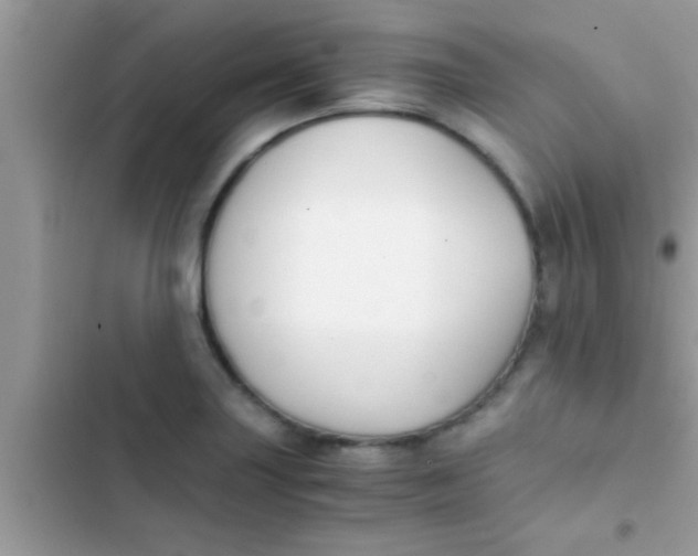 X0000103311227200809191910