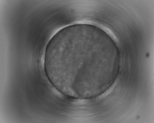 X0000103311228200809191910