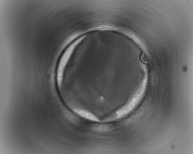 X0000103311229200809191910