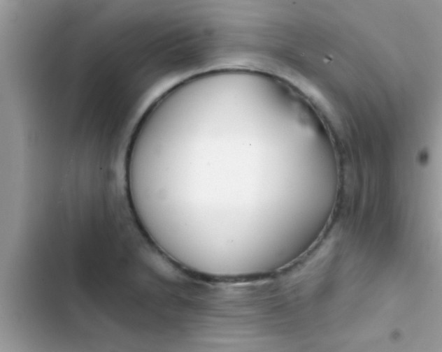 X0000103311230200809191910