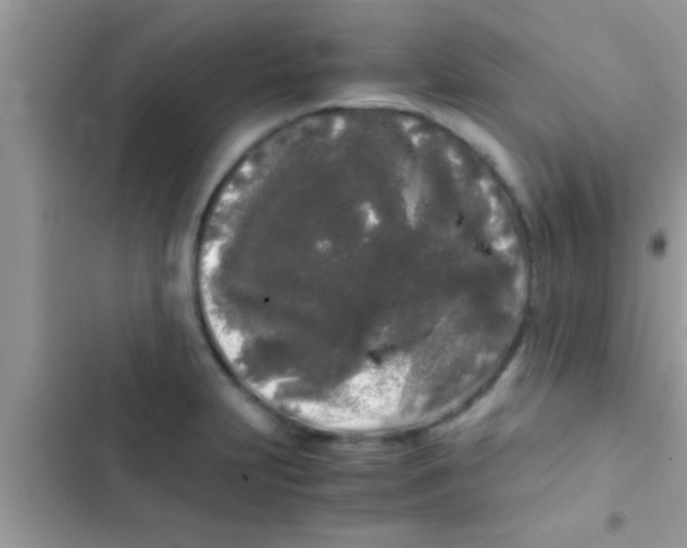 X0000103311231200809191910