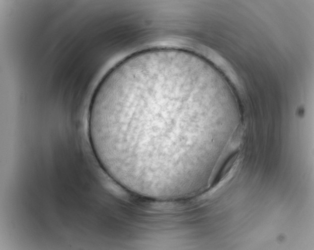X0000103311232200809191910