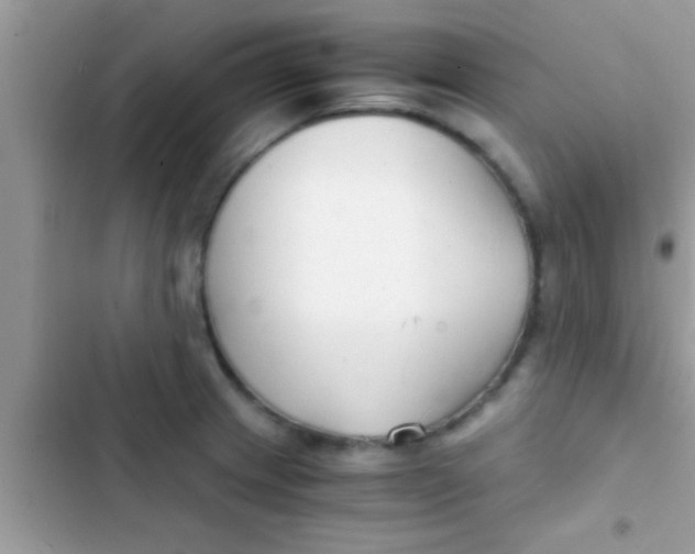 X0000103311233200809191910