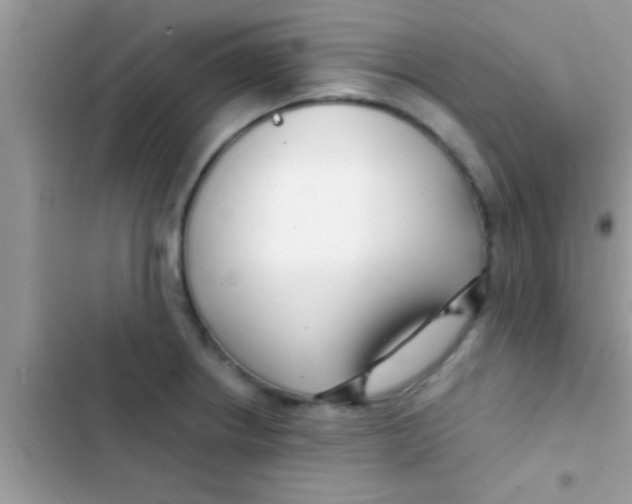 X0000103311234200809191910