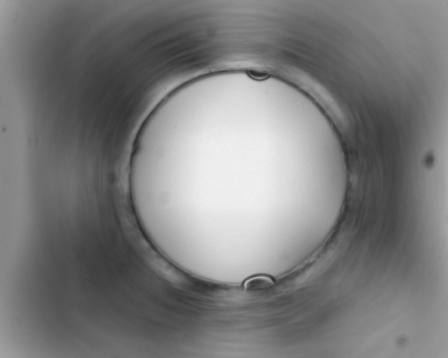 X0000103311236200809191910
