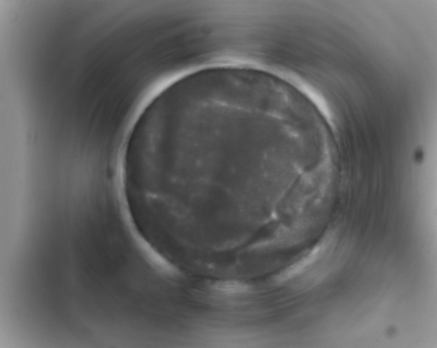 X0000103311239200809191910