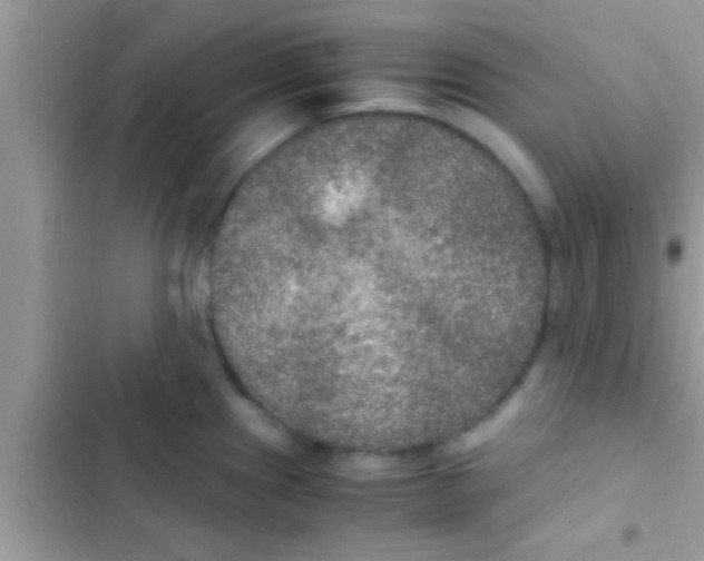 X0000103311241200809191910