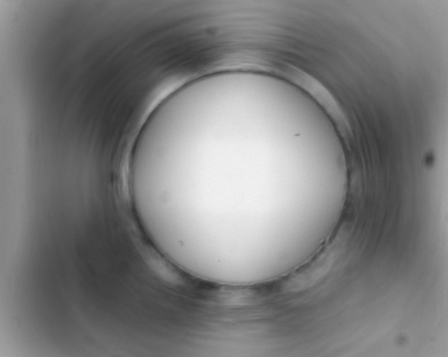 X0000103311242200809191911