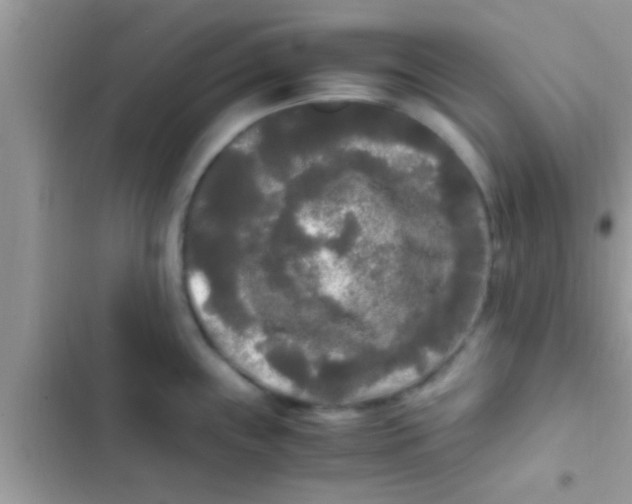 X0000103311243200809191911